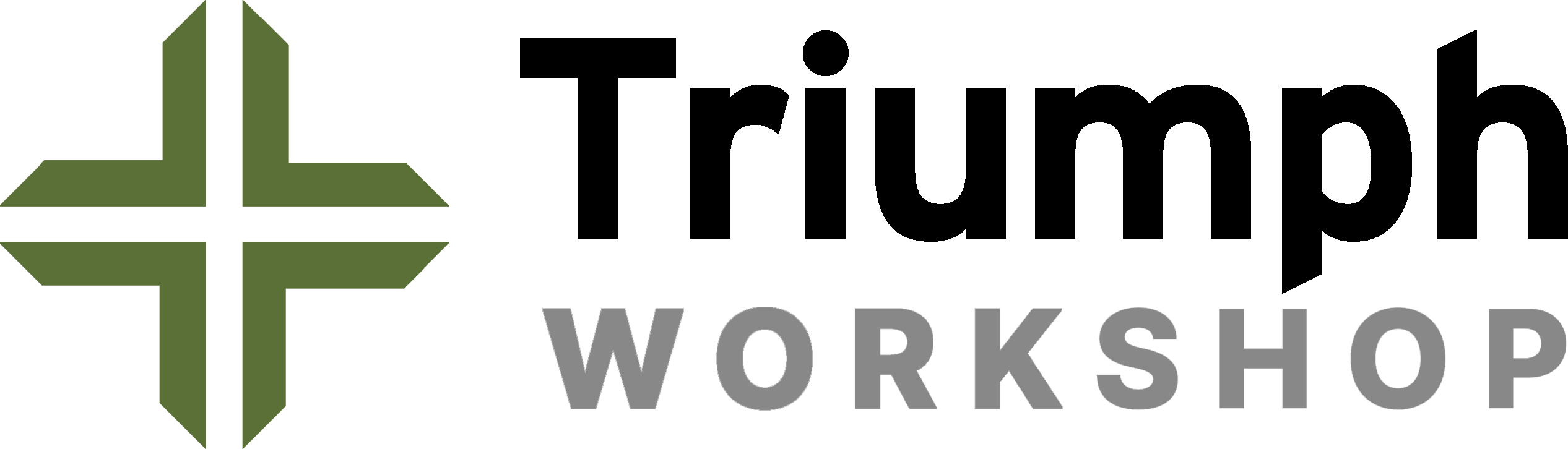Triumph Workshop